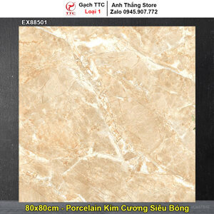 Gạch lát nền TTC EX88501 - 80x80