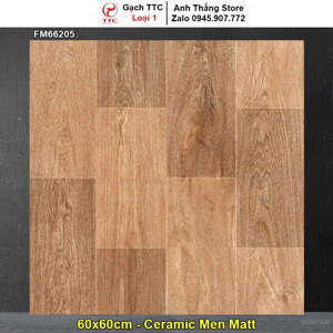Gạch lát nền TTC FM66205 - 60x60
