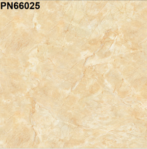 Gạch lát nền TTC PN66025 - 60x60