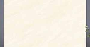 Gạch lát nền TTC PN66041 - 60x60