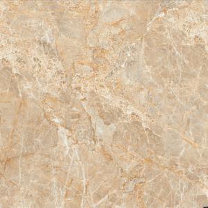 Gạch lát nền TTC PN88009 - 80x80