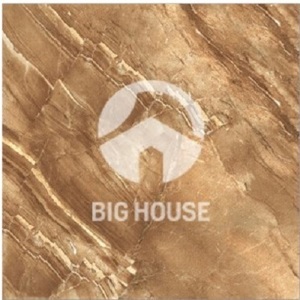 Gạch lát nền TTC PN88201 - 80x80