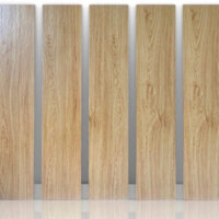 Gạch lát nền Vân gỗ 20x100 nhập khẩu siêu bền (ĐvT:m2)