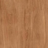 Gạch lát nền vân gỗ men Matt TTC CPM66202