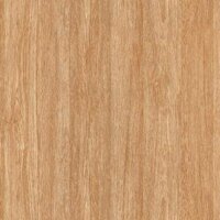 Gạch lát nền vân gỗ men Matt TTC CPM66201