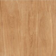 Gạch lát nền vân gỗ TTC PN66204