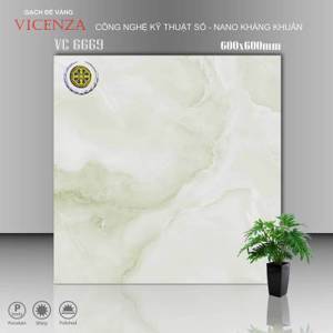 Gạch lát nền Vicenza 60X60 6669