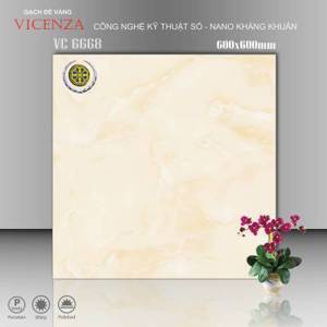 Gạch lát nền Vicenza 60X60 6668