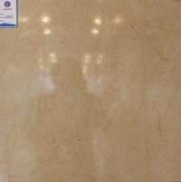 Gạch lát nền Viglacera 500×500 H503