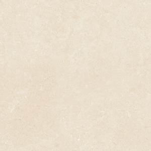 Gạch lát nền Viglacera 60×60 PT20-G6601