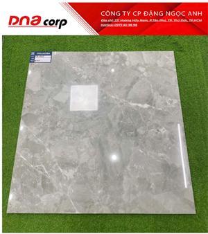 Gạch lát nền Viglacera 60×60 TB609