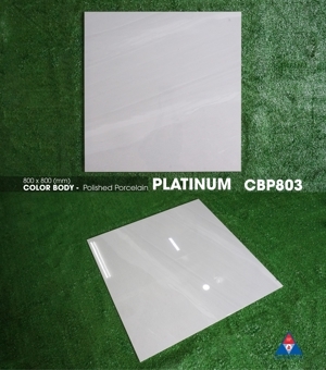 Gạch lát nền Viglacera 80×80 CBP803