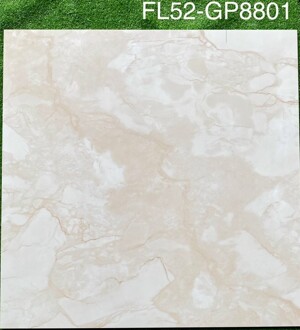 Gạch lát nền Viglacera 80x80 GP8801