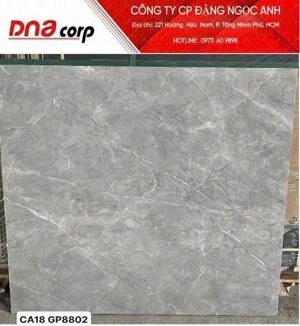 Gạch lát nền Viglacera 80x80 GP8802