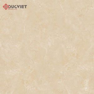 Gạch lát nền Viglacera B6005 - 60x60