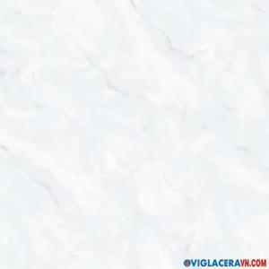 Gạch lát nền Viglacera ECO-S606 - 60x60
