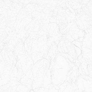 Gạch lát nền Viglacera ECO-S6806