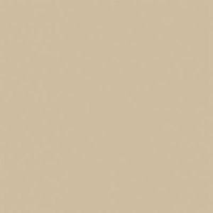 Gạch lát nền Viglacera Granite BN602