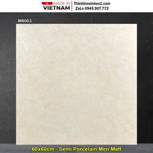 Gạch lát nền Viglacera M6003 - 60x60