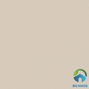 Gạch lát nền Viglacera TS5-601 - 60x60