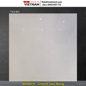 Gạch lát nền Viglacera TS5-601 - 60x60