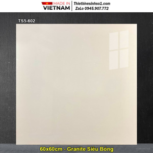 Gạch lát nền Viglacera TS5-602 - 60x60