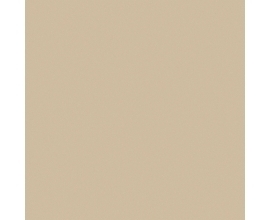 Gạch lát nền Viglacera TS5-602 - 60x60