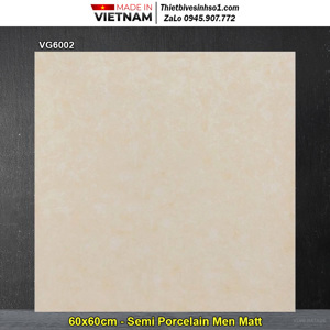 Gạch lát nền Viglacera VG6002 - 60x60