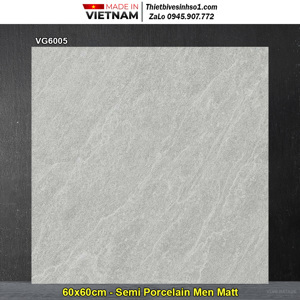 Gạch lát nền Viglacera VG6005 60x60