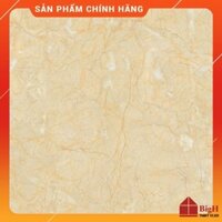 Gạch lát nền Vitto 60x60 3017. Chống ẩm mốc cực kỳ tốt- Vật liệu xây dựng BigH