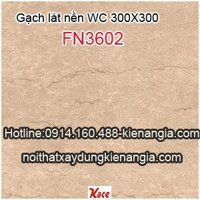 Gạch lát nền WC 300X300 Viglacera-FN3602