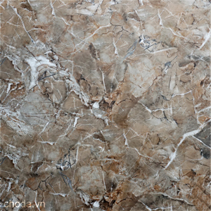 Gạch lát nền World Tiles 8305