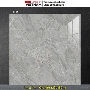 Gạch lát Prime 9801 - 60x60 cm