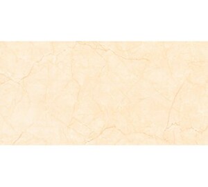 Gạch lát  Prime 9848 - 60x60 cm