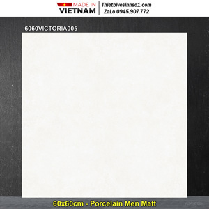 Gạch lát sàn Đồng Tâm 6060VICTORIA005 - 60x60