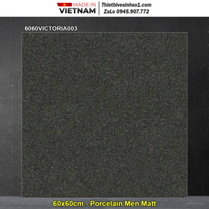 Gạch lát sàn Đồng Tâm 6060VICTORIA003 - 60x60