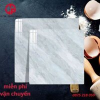 Gạch lát san nhà 6060 TK VG60905