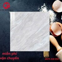 Gạch lát san nhà 6060 TK VG60902