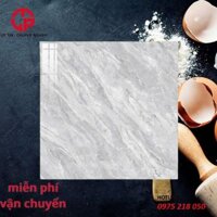 Gạch lát san nhà 6060 TK VG60904