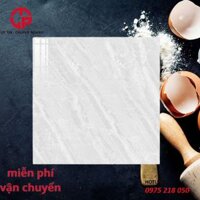 Gạch lát san nhà 6060 TK VG60903
