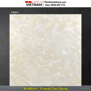 Gạch lát sàn Viglacera TB 801