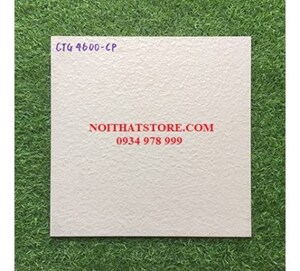Gạch lát sân vườn 40x40 CTG4600-CP
