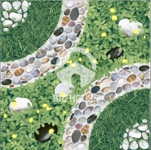 Gạch lát sân vườn Tasa 5806 - 50×50