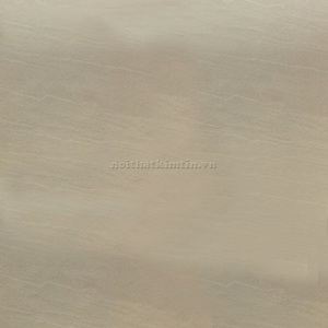Gạch lát Taicera G68425 - 60x60 cm