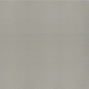 Gạch lát Taicera – G68548 (60×60)