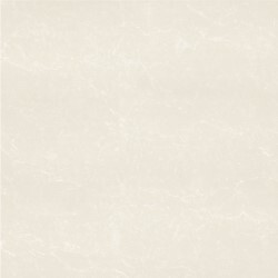 Gạch lát Taicera – P67763N (60×60)