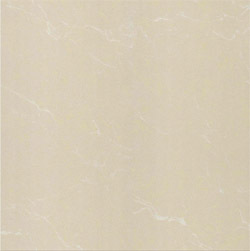 Gạch lát Taicera – P67763N (60×60)