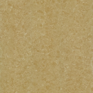 Gạch lát Taicera - P67771N (60x60)