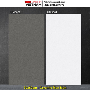 Gạch ốp tường Viglacera UM3601 - 30x60