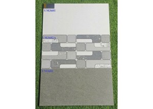 Gạch ốp tường Viglacera UM3601 - 30x60